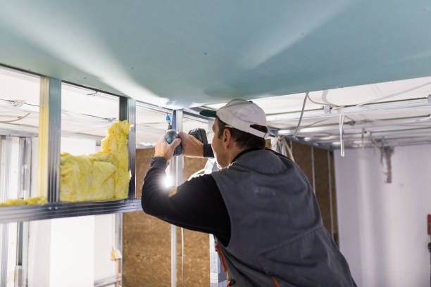 Best Residential Insulation in Summit, NJ